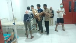 Kecelakaan Truk Sawit di Sembakung Atulai Tewaskan Dua Orang