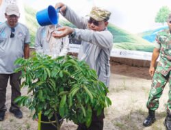 Peringati Hari Lingkungan Hidup, Wagub Kaltara Ajak Masyarakat Bergerak Hadapi Ancaman Perubahan Iklim